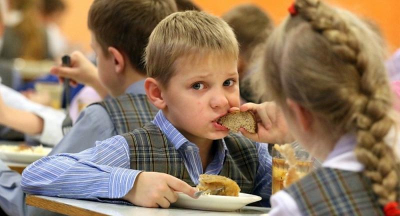 Пищеблоки школ и детсадов Воронежской области оказались не готовы к проверкам надзорных органов и прокуратуры