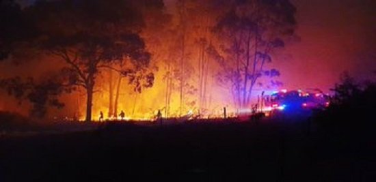 Облегчая последствия лесных пожаров в Австралии