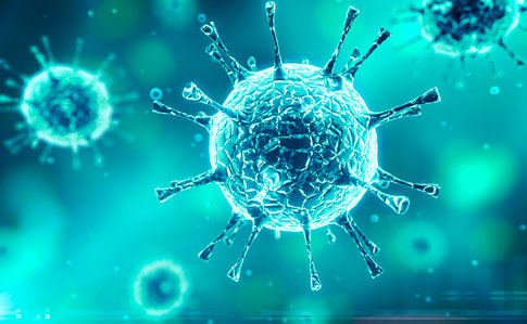 Принципиально новый путь борьбы с коронавирусом