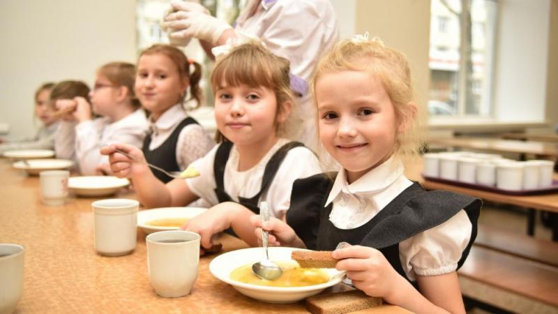 Парламентарии учли региональные предложения по организации школьного питания
