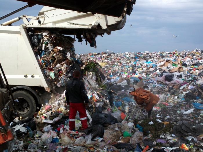 Петербург и Ленобласть объединятся в борьбе с мусором