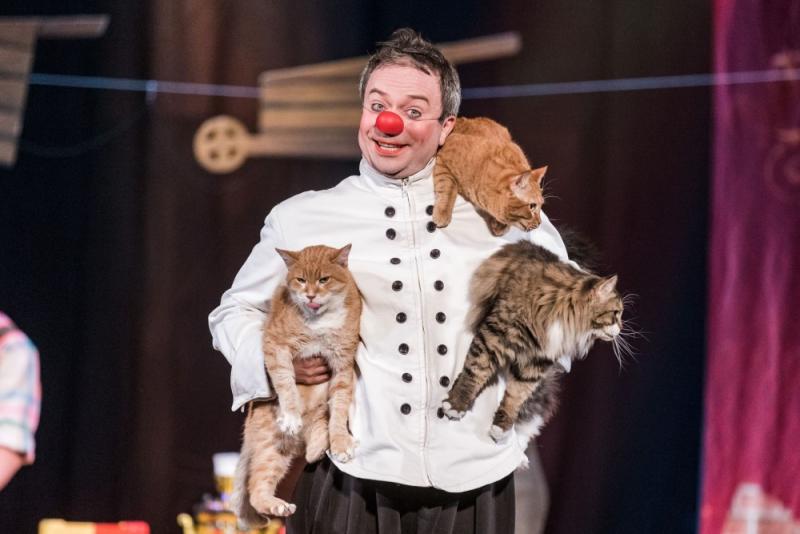 Дмитрий Куклачёв, дрессировщик, худрук Московского Театра кошек посетит приют "Преданное сердце» в прямом эфире в инстаграм