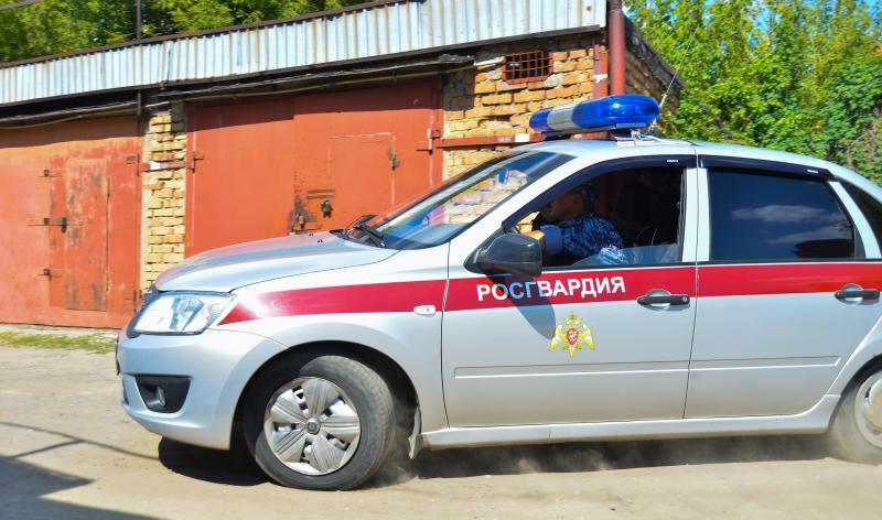 В Пензе сотрудники вневедомственной охраны Росгвардии задержали граждан, повредивших транспортное средство