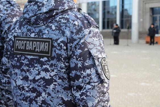 В Ульяновске сотрудники Росгвардии задержали гражданина, подозреваемого в краже из крупного гипермаркета