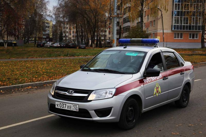В Саранске сотрудниками Росгвардии по подозрению в мелком хищении задержана жительница Лямбирского района