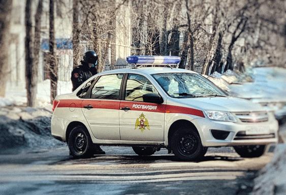 В Димитровграде сотрудники Росгвардии задержали гражданина, подозреваемого в краже