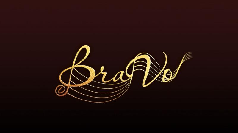 V церемония вручения Международной профессиональной музыкальной премии «BraVo»