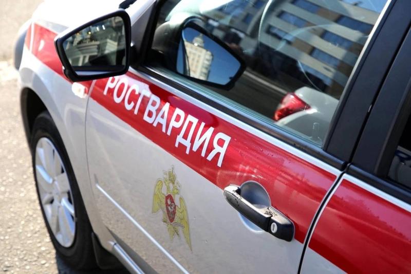 В Ромоданово сотрудники Росгвардии задержали гражданина, находившегося в федеральном розыске