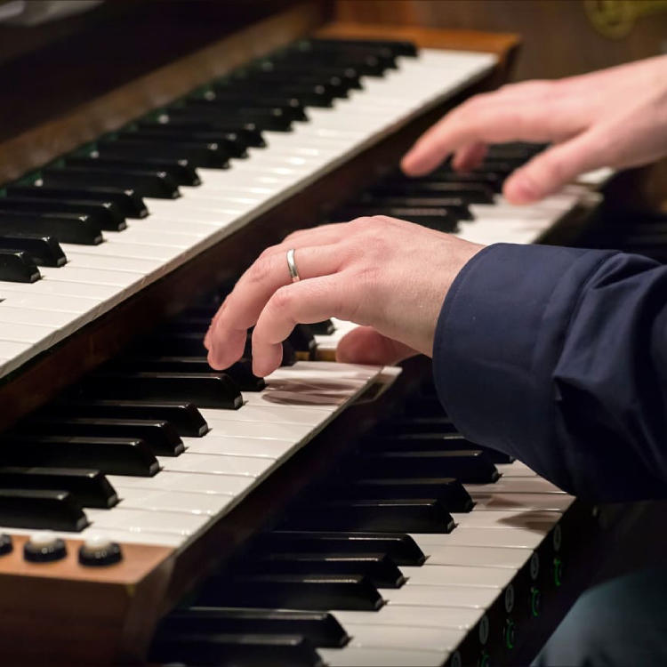 Битва Органов в Петрикирхе