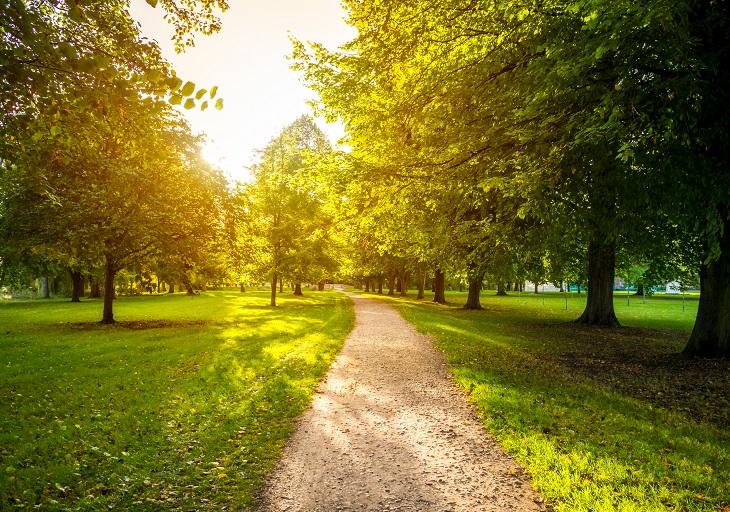 Девелопер «Сияние» высадил новые деревья Крылатском парке в Москве