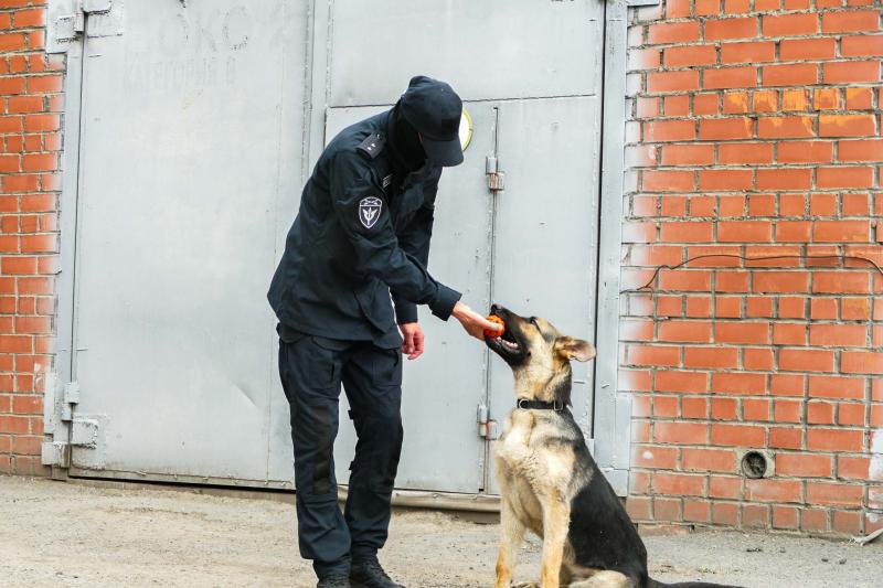 Кинолог кузбасского ОМОН «Оберег» Росгвардии рассказал о доверительных отношениях с четвероногой напарницей и совместных задачах