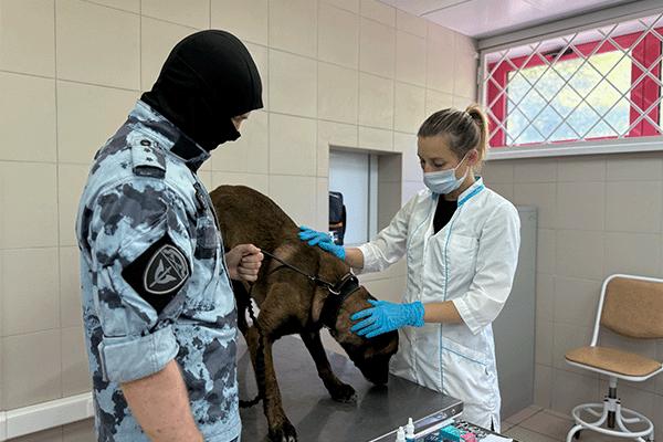 В столичном главке Росгвардии отметили День ветеринарно-санитарной службы