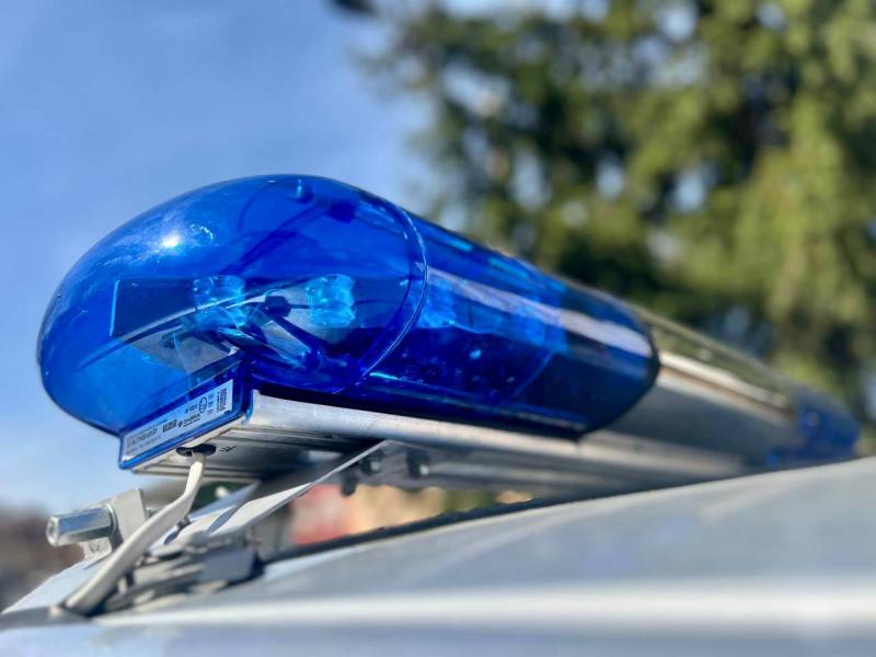 В Подмосковье сотрудники Росгвардии задержали подозреваемых в серии краж из строительного гипермаркета