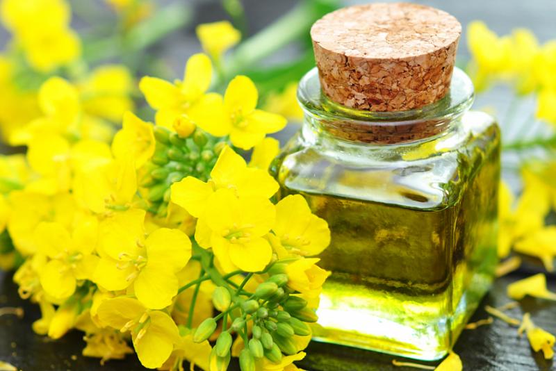 Сельхозпроизводители Красноярского края поддержали проект маслозавода «Группы Продовольствие» в Ачинске