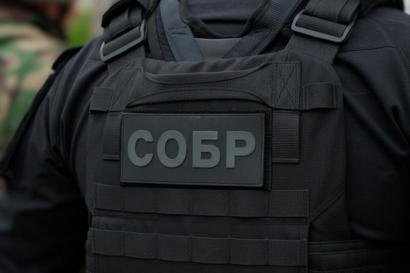 В Москве при содействии спецназа Росгвардии задержаны подозреваемые в организации незаконной миграции