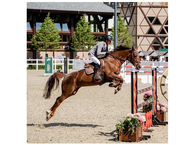 Международный турнир по конкуру клуба Emerald Stables номинирован на премию Horse Expert Awards — 2025