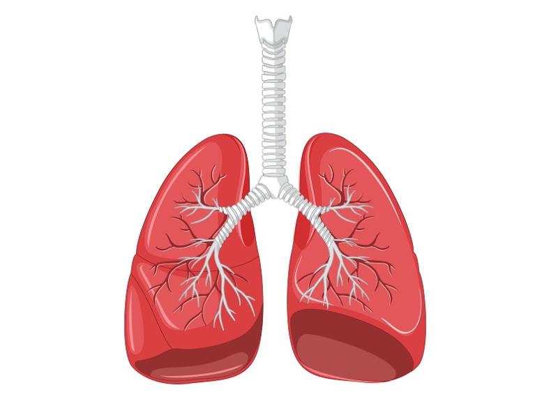 Онколог Видного: нужно вовремя проходить диспансеризацию и профилактические медосмотры