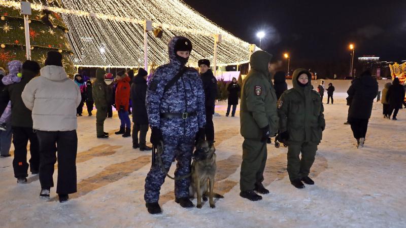 В Казани Росгвардия выполнила задачи по обеспечению безопасности на открытии главной городской ёлки