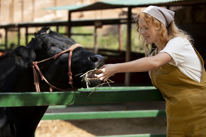 Как правильно определить массу крупного рогатого скота с помощью весов?